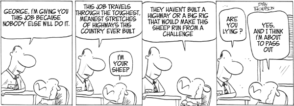 lostsheep